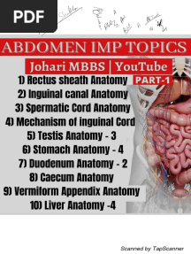 ABDOMEN ANATOMY L Johari MBBS