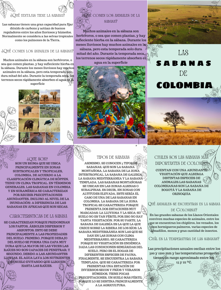 Tipos de Sabanas de Colombia (32.5 X 21.3 CM) | PDF