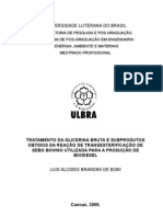 Tratamento Da Glicerina Bruta e Subprodutos Obtidos Da Reação de Transesterificação de Sebo Bovino