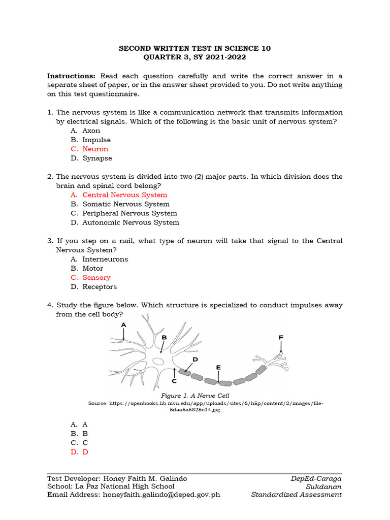 s10-q3-answer-key-2-pdf-nervous-system-neuron