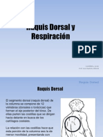 Raquis Dorsal y Respiracion