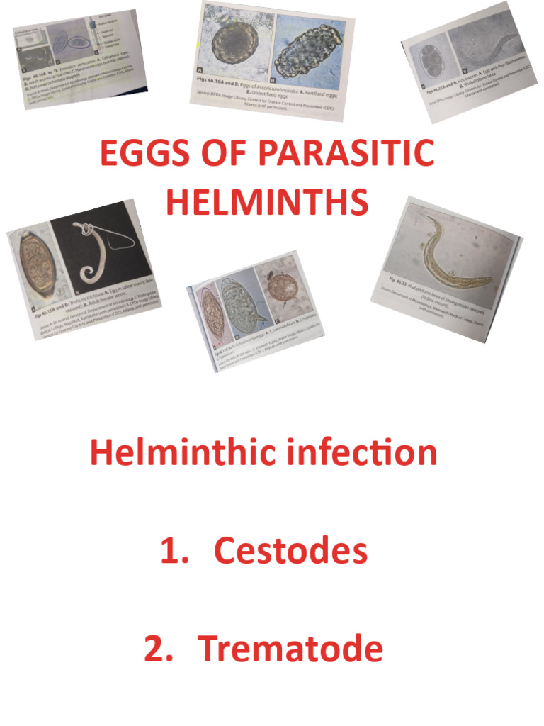 Helminths Egg | PDF
