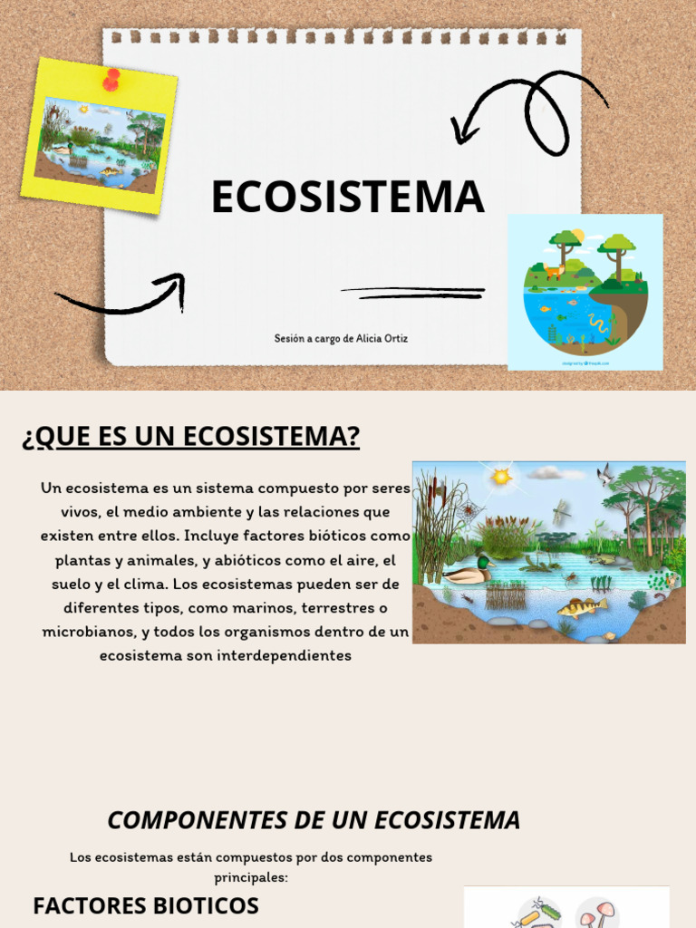 Composición y beneficios de los ecosistemas | PDF | Ecosistema | Suelo