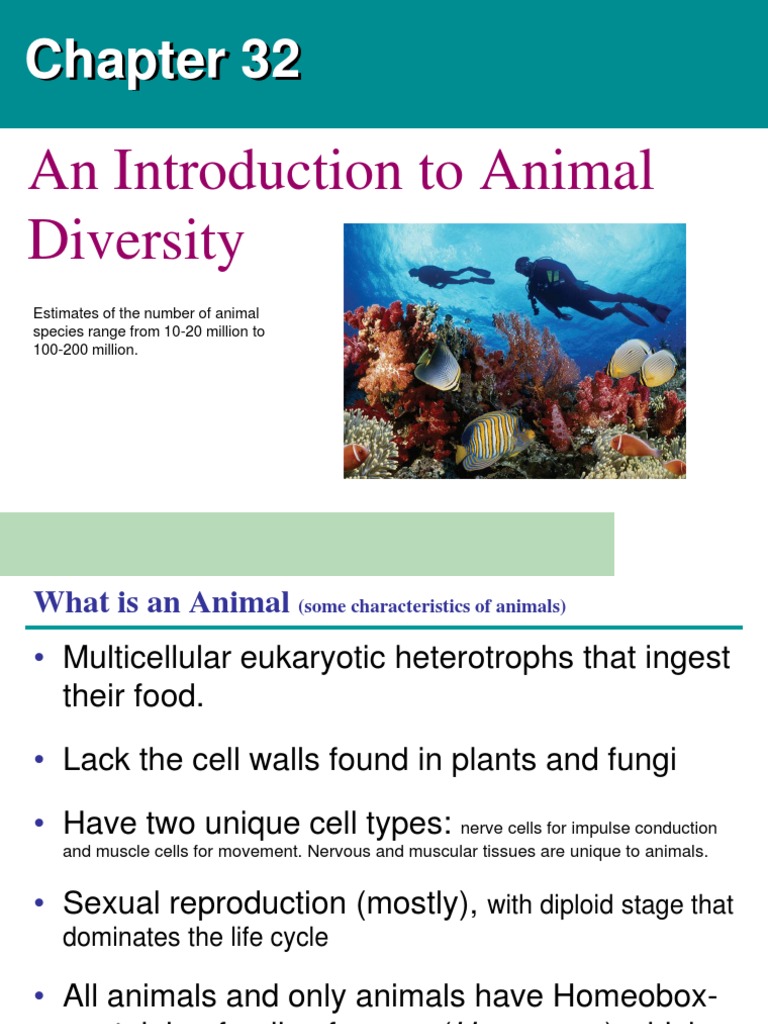 96 List Animal Diversity Book Pdf for business