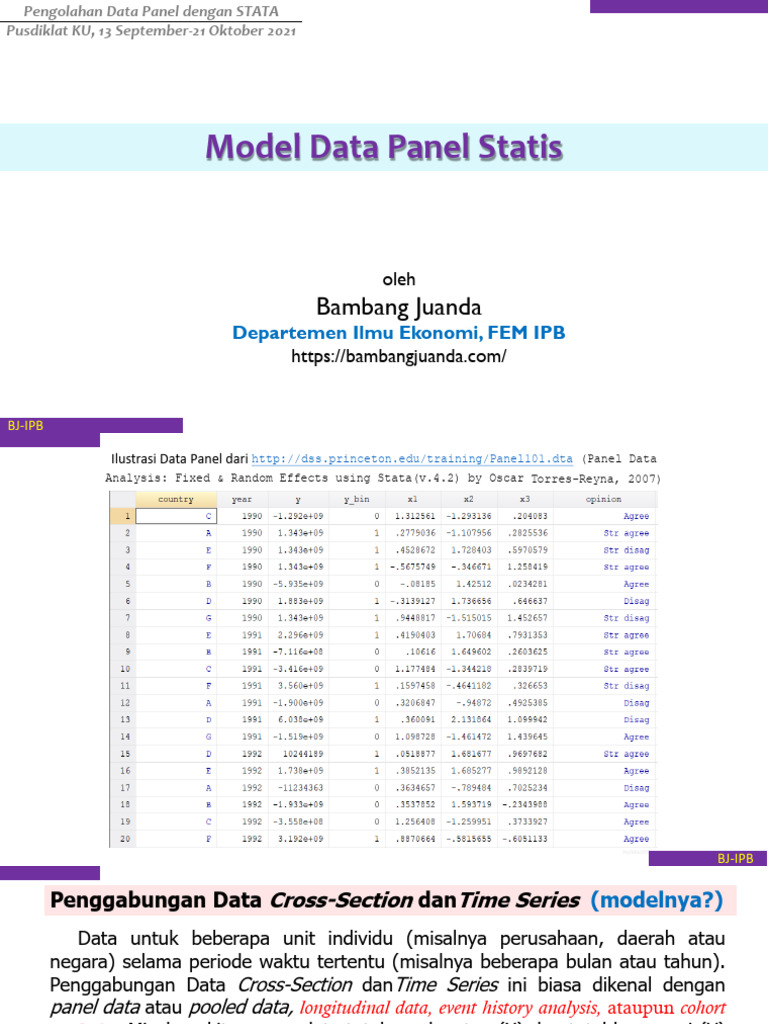 Analisis Data Panel dengan STATA | PDF