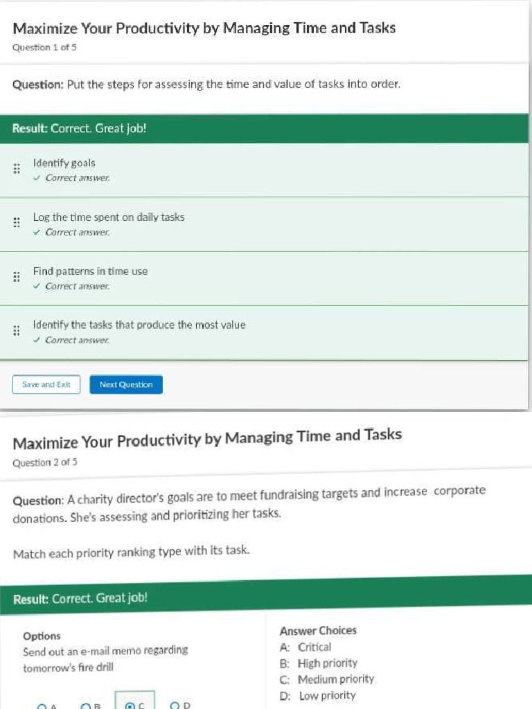 Maximize Your Productivity by Managing Time and Tasks AD | PDF