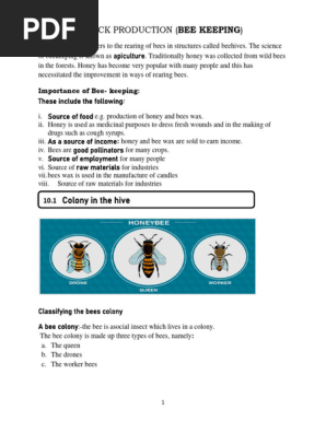 bee keeping