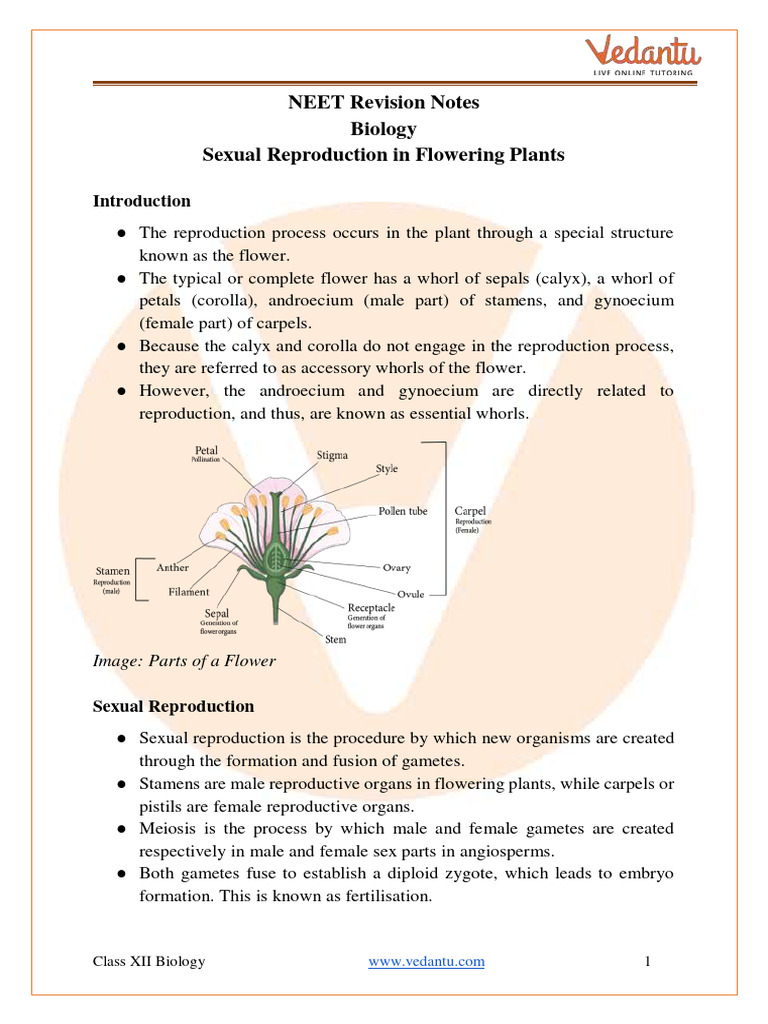 Sexual Reproduction in Flowering Plants Notes For NEET 2024 - Free PDF ...