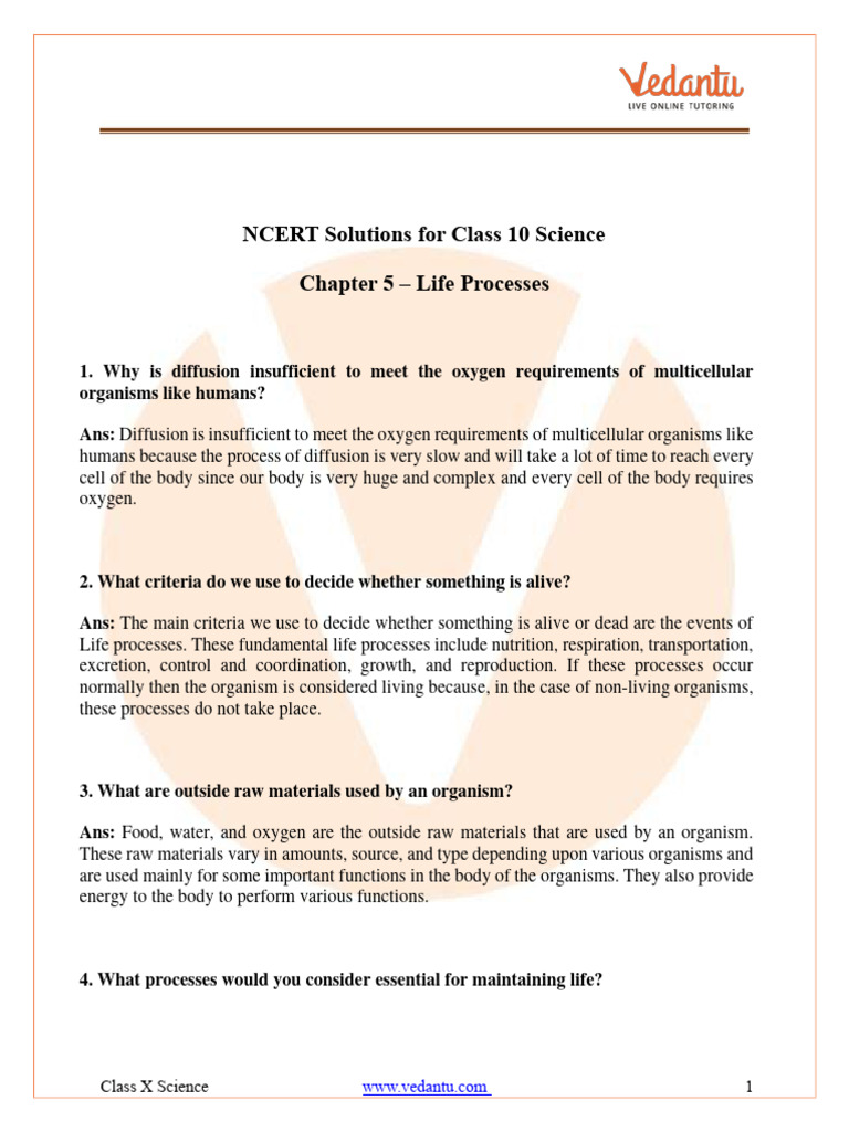Class 10 Science: Life Processes Solutions | PDF | Blood | Lung