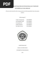 Download Laporan Praktikum ian Terpadu Mandiri Kacang Merah by putiindra SN74757338 doc pdf