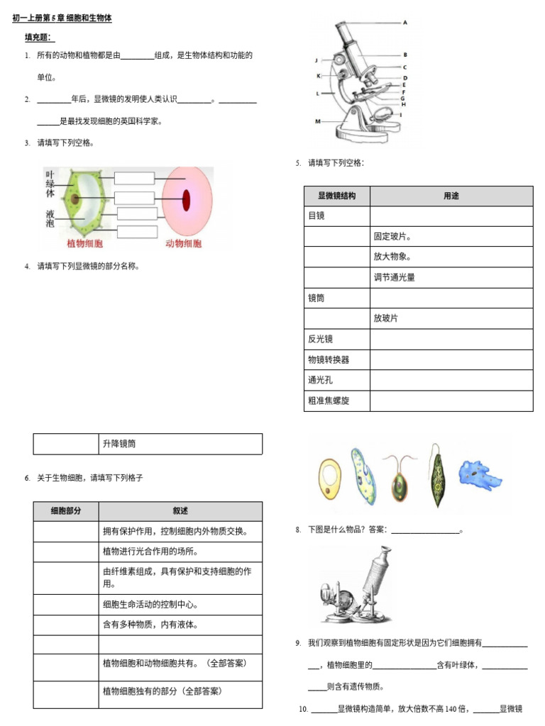 初一上册第5章细胞和生物体| PDF, image size:768x1024