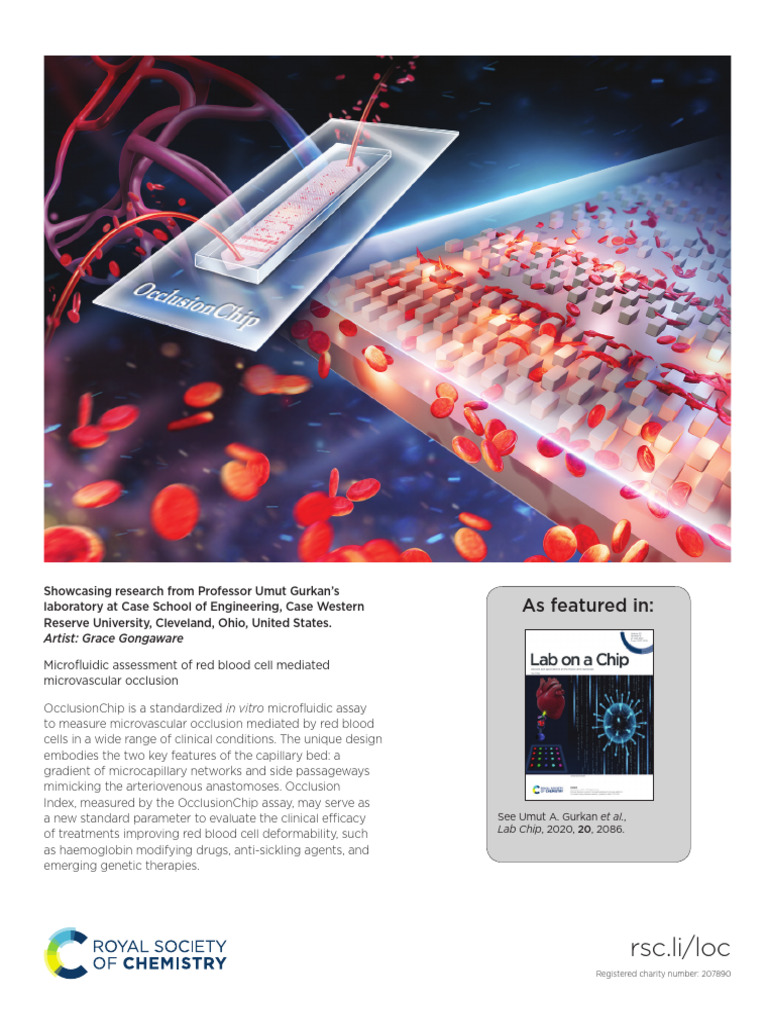 RSC - Li/loc: As Featured in | PDF | Blood Vessel | Red Blood Cell