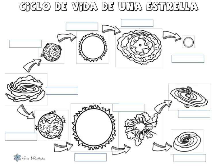 ACTIVIDAD # Ciclo de Vida de Las Estrellas | PDF