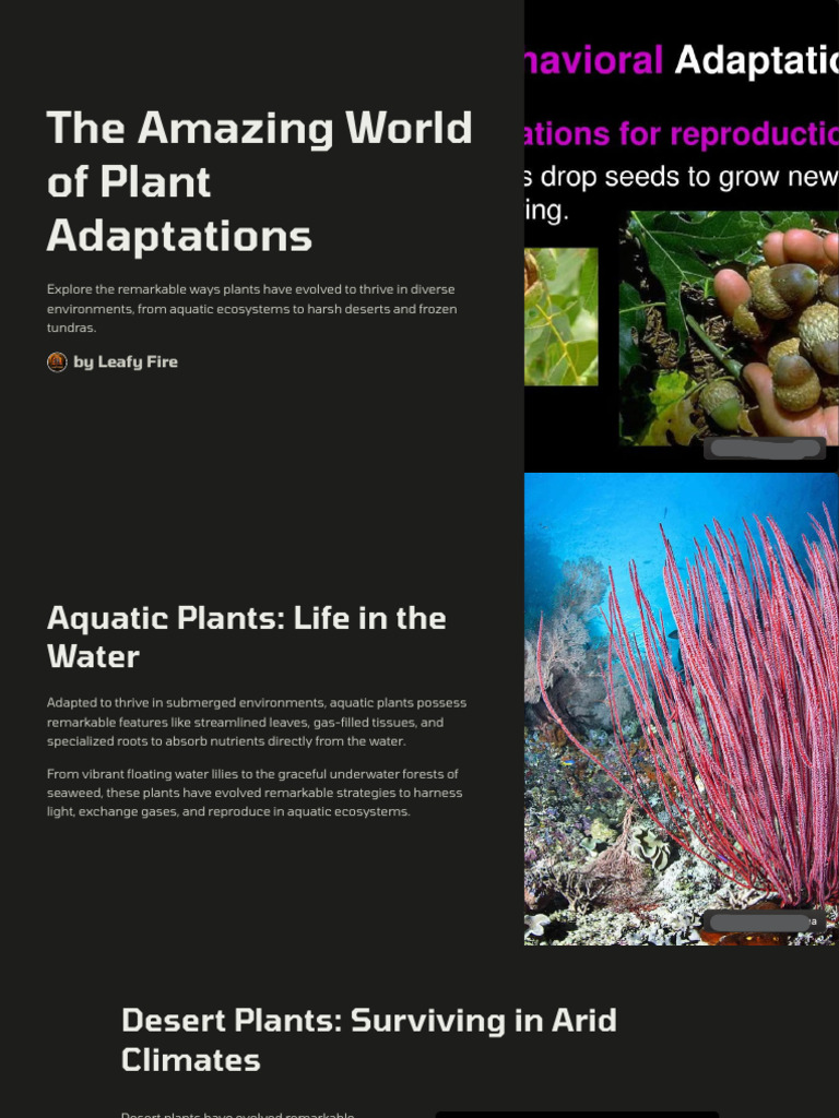 Plant Adaptations Across Ecosystems | PDF | Leaf | Plants