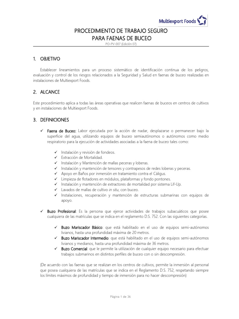 Procedimiento Seguro para Buceo en Faenas | PDF | Buceo bajo el agua ...