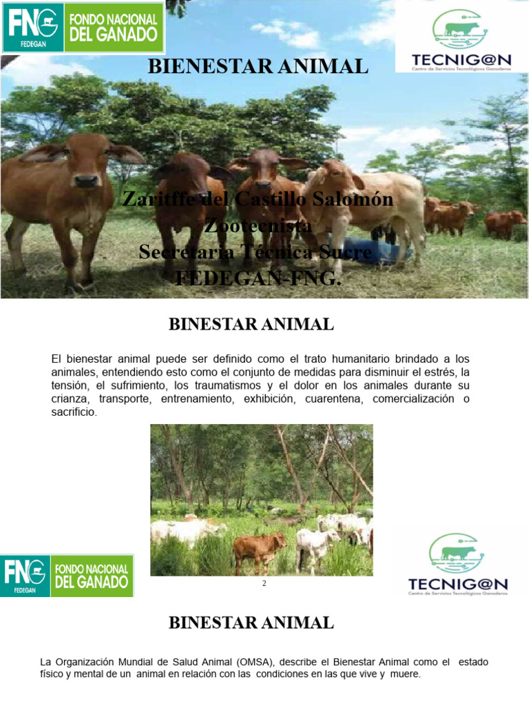 Bienestar Animal | PDF | Bienestar de los animales | Comportamiento