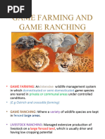Silvestres Grupo 5 | PDF | Jaguar