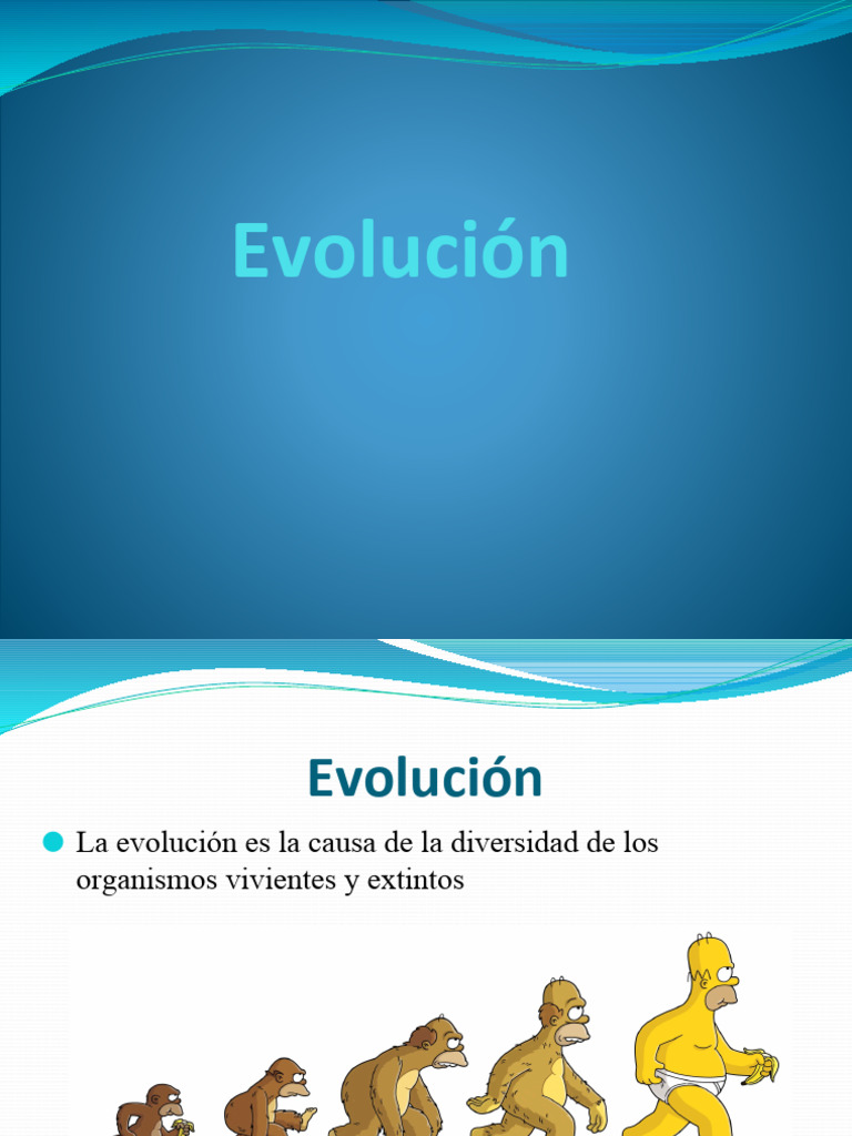 Teorías y Evidencias de la Evolución | PDF | Evolución | Seleccion natural
