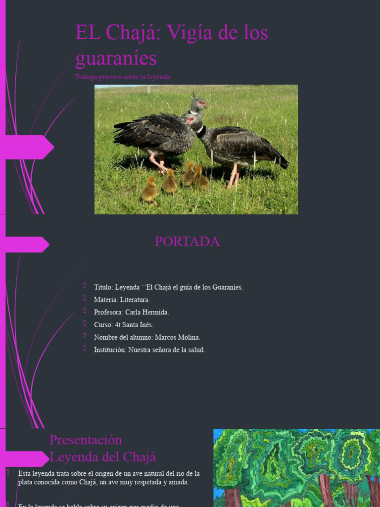 Leyenda del Chajá: Guía Guaraní | PDF | Historia