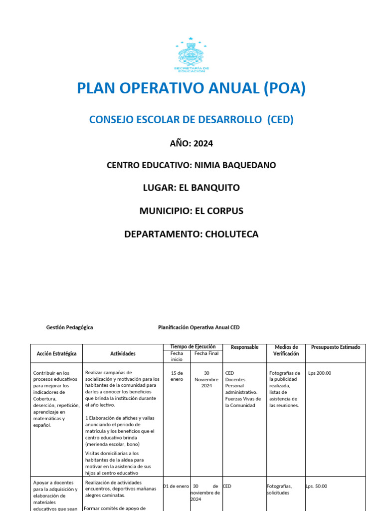 Plan Operativo Anual 2024 CED Nimia Baquedano | PDF | Organización no ...