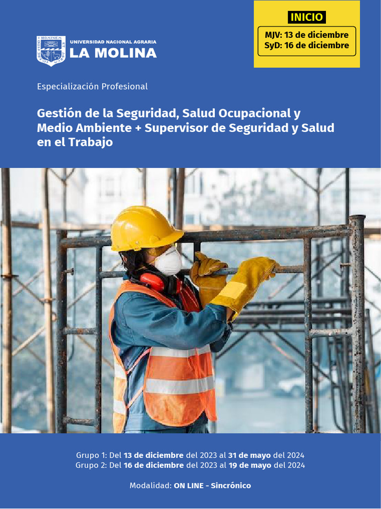 Especialización en Seguridad y Salud Ocupacional | PDF | Business