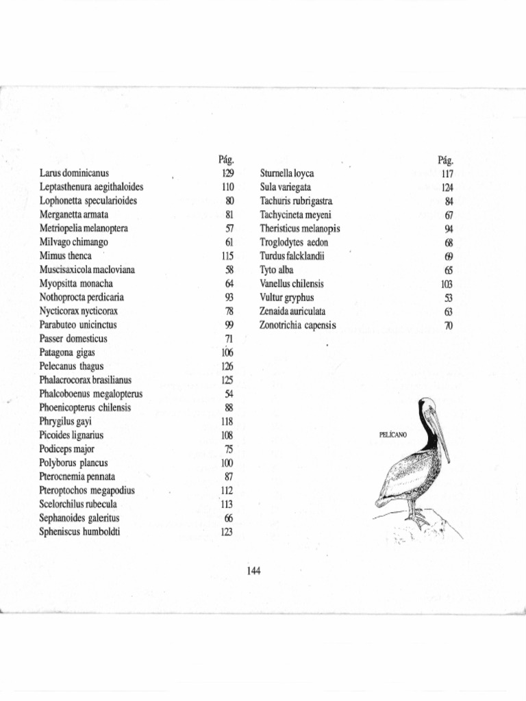 Familia d'Seis Pajaros