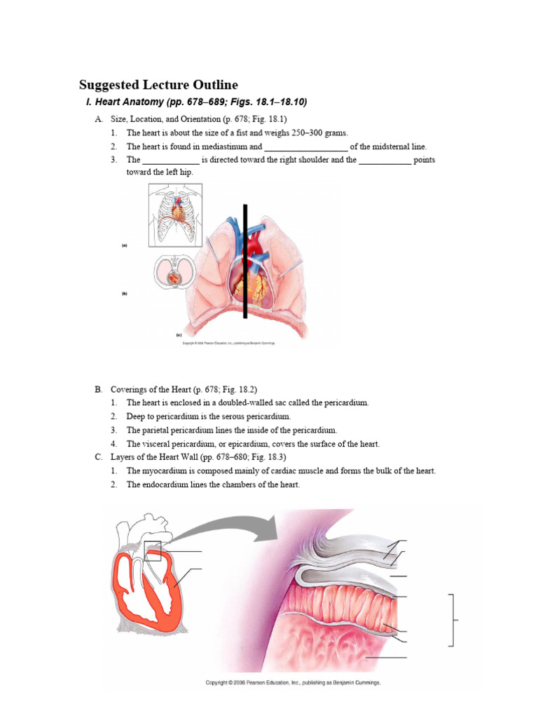 Ch.+18+ +CV+System+ +the+heart+ +Lecture+Outline | PDF | Heart ...