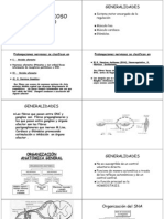 clase8SISTEMA_NERVIOSO_AUTONOMO