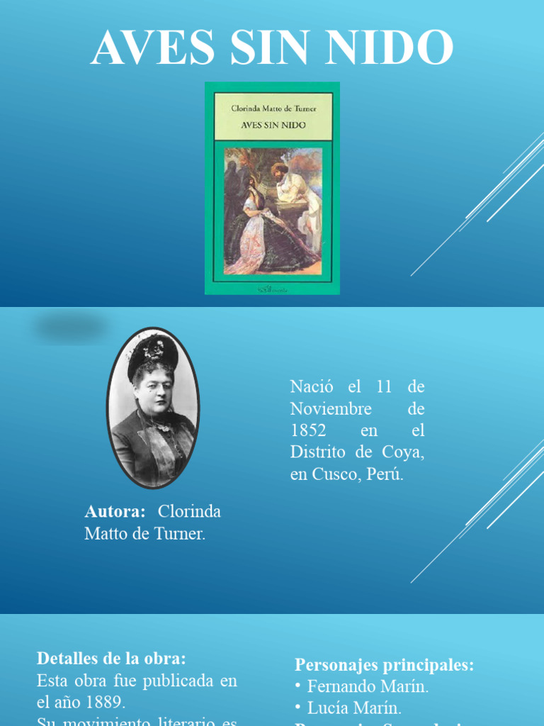 Sobre Aves Sin Nido Clorinda Matto De Turner Pdf