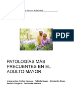 Patologias Mas Frecuentes en El Adulto Mayor - Final