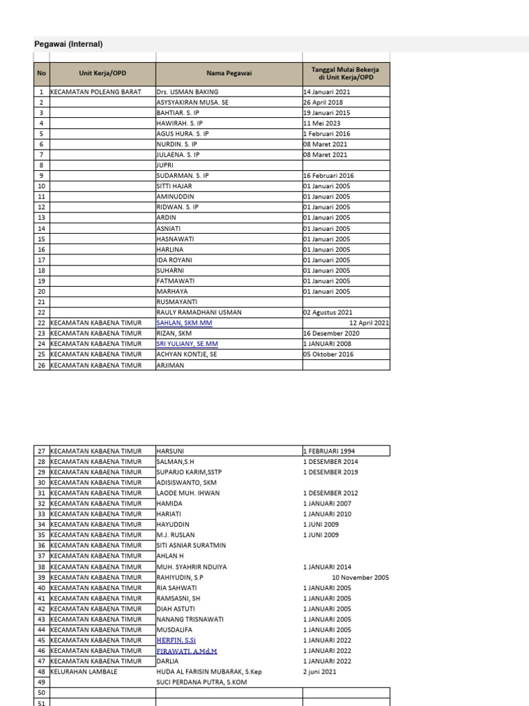 Format Data Internal 2024 Pdf