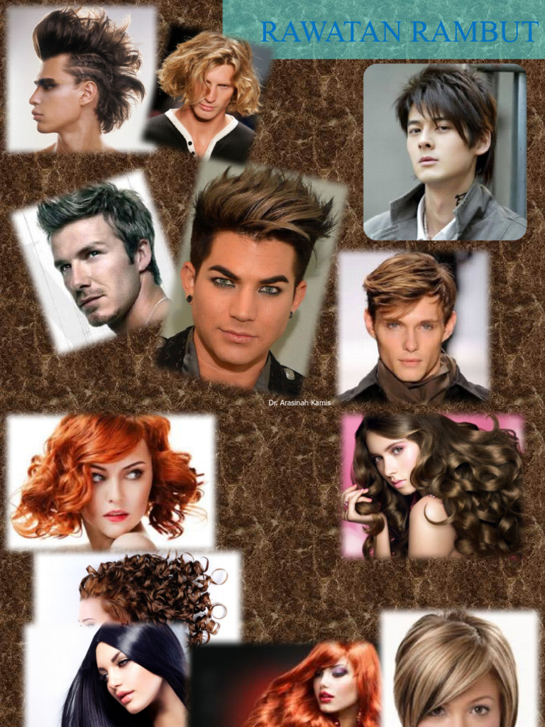 Pengenalan Rambut | PDF
