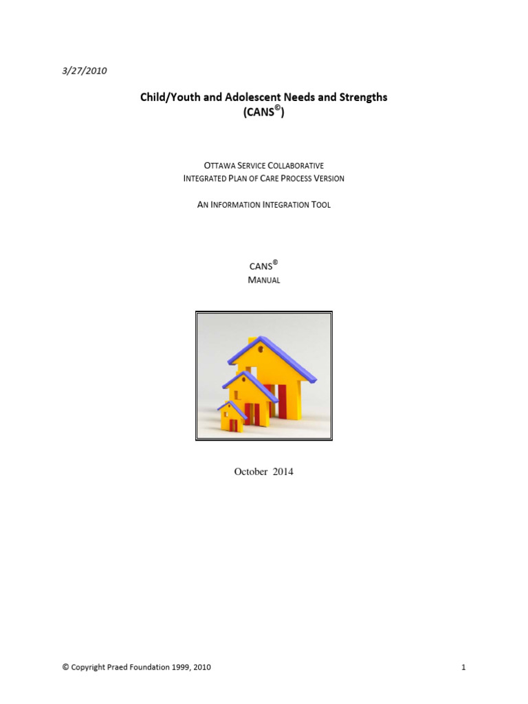 Assessment Tool | PDF | Pervasive Developmental Disorders | Attachment ...