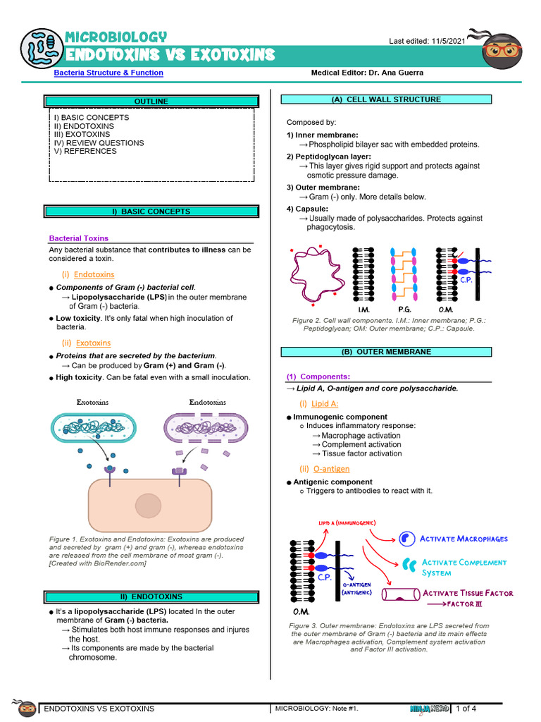 431 Microbiology Endotoxins Vs Exotoxins Pdf Lipopolysaccharide