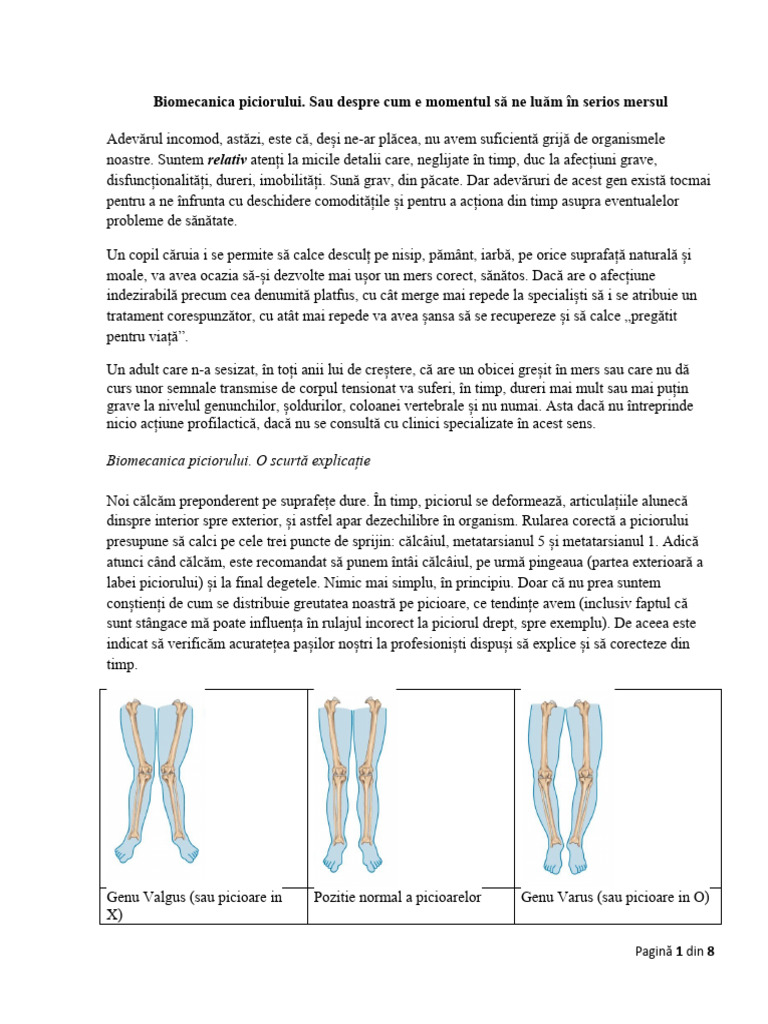 Biomecanica Piciorului | PDF
