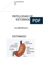 PATOLOGIAS DE ESTOMAGO