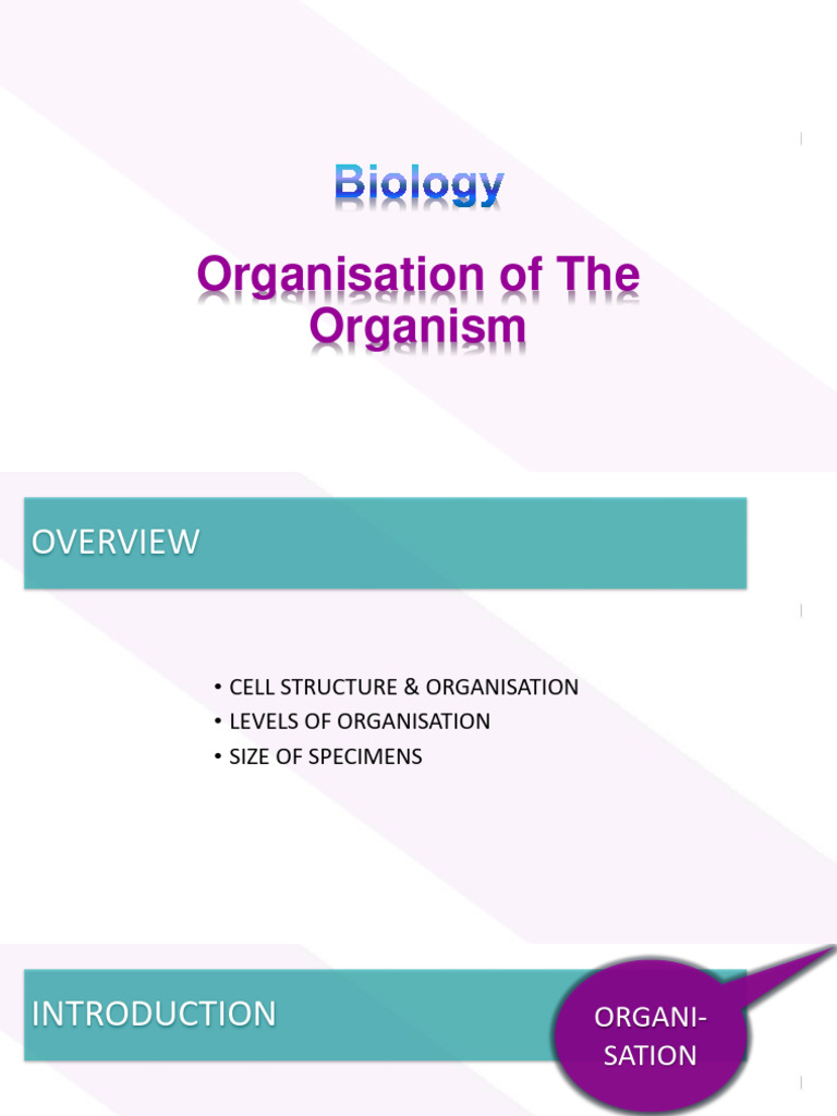 Bio C7 Lecture Notes 7 Cell Identity Tissues Highly Specialized