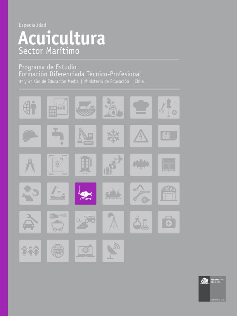 Articles 34302 Programa | PDF | Evaluación | Aprendizaje