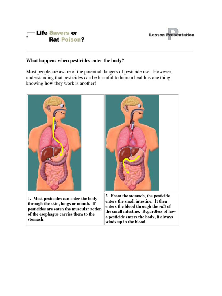 Pesticide Poisoning: Symptoms & First Aid | PDF | Pesticide | Acetylcholine