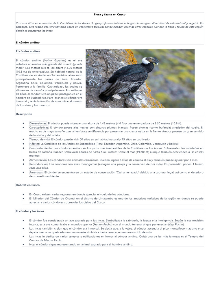 flora-y-fauna-en-cusco-pdf-osos-imperio-inca