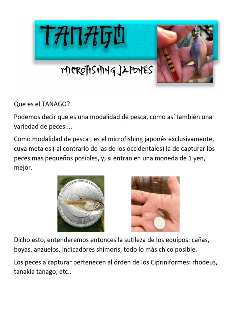 Introducción al Tanago: Microfishing Japonés | PDF