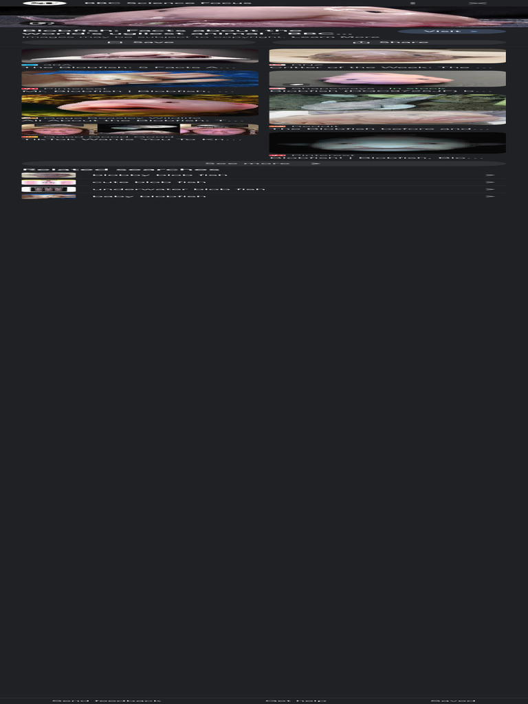 Screenshot 2024 01 19 at 12 15 46 am pdf