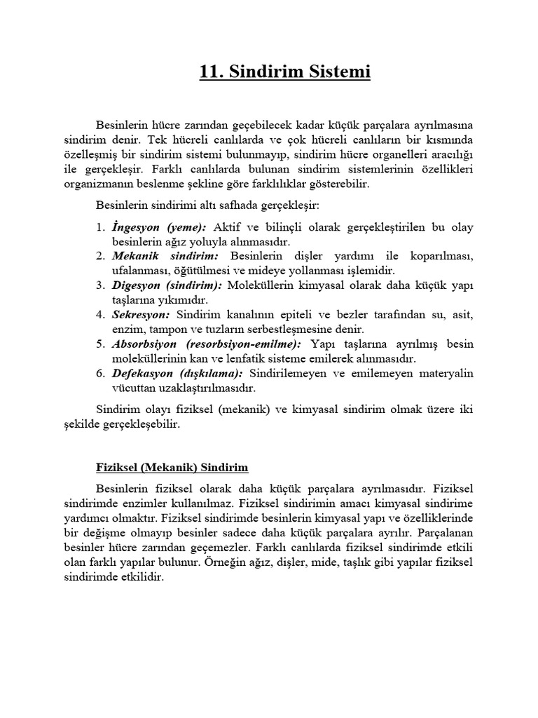 11 pdf
