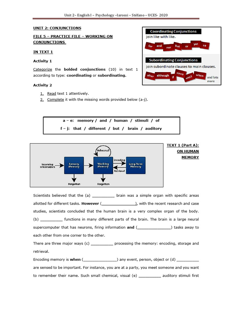 Understanding Conjunctions in Memory | PDF | Memory | Prejudices