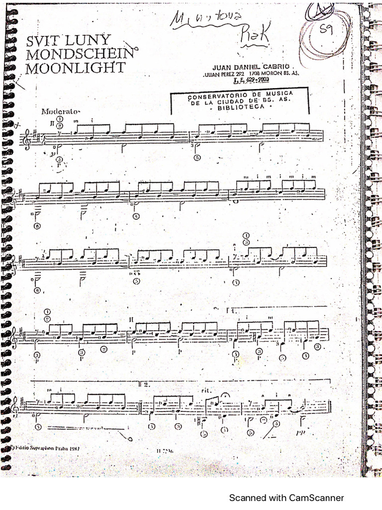 Moonlight. Rak Stefan | PDF