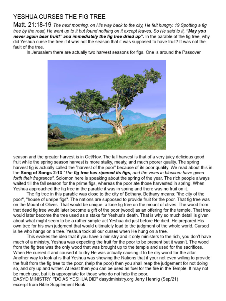 matt-21-18-19-fig-tree-pdf