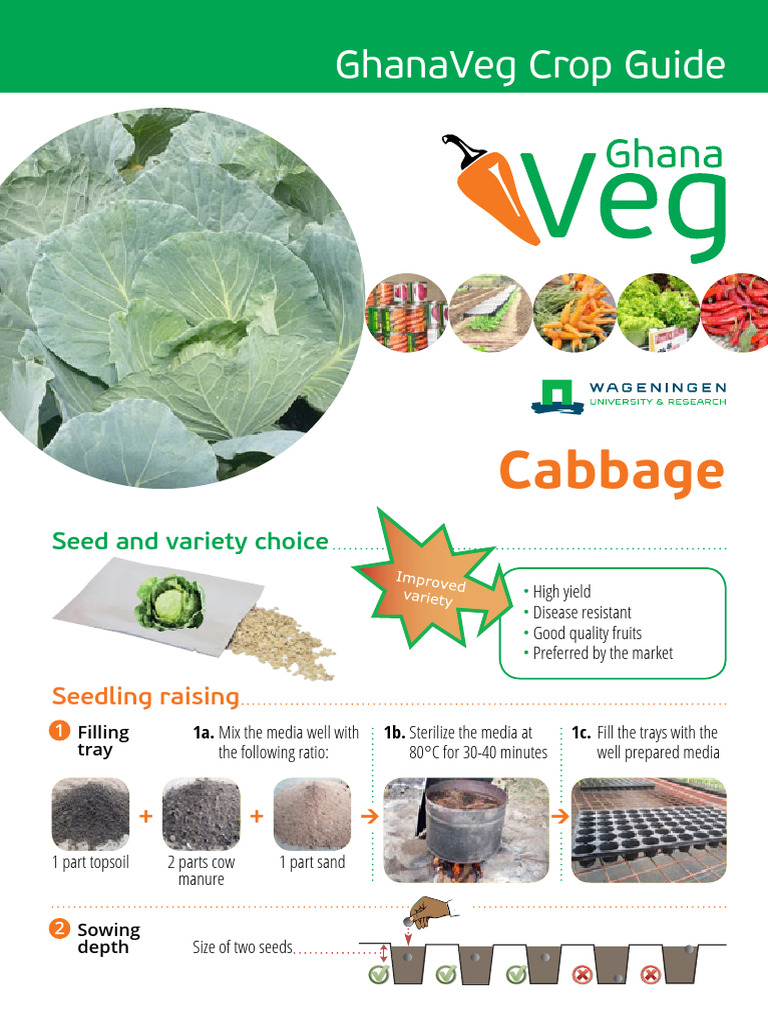 GhanaVeg Cabbage 2017-Crop-Guide | PDF | Cabbage | Pest Control