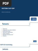 Guía de Uso de Transacción KS03 en SAP | PDF | Informática | Software