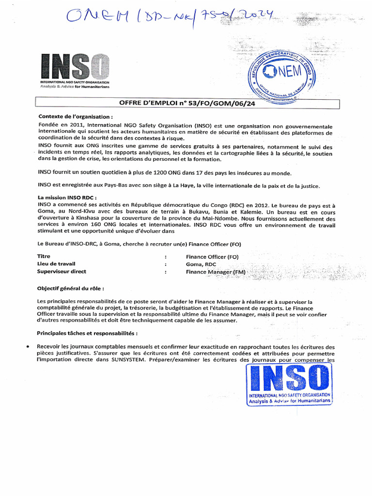 INSO Finance Officer | PDF