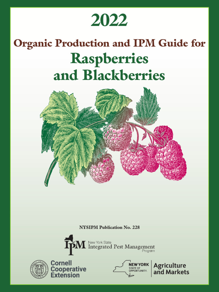 2022 Org Rasp Blackberry NYSIPM | PDF | Organic Farming | Soil